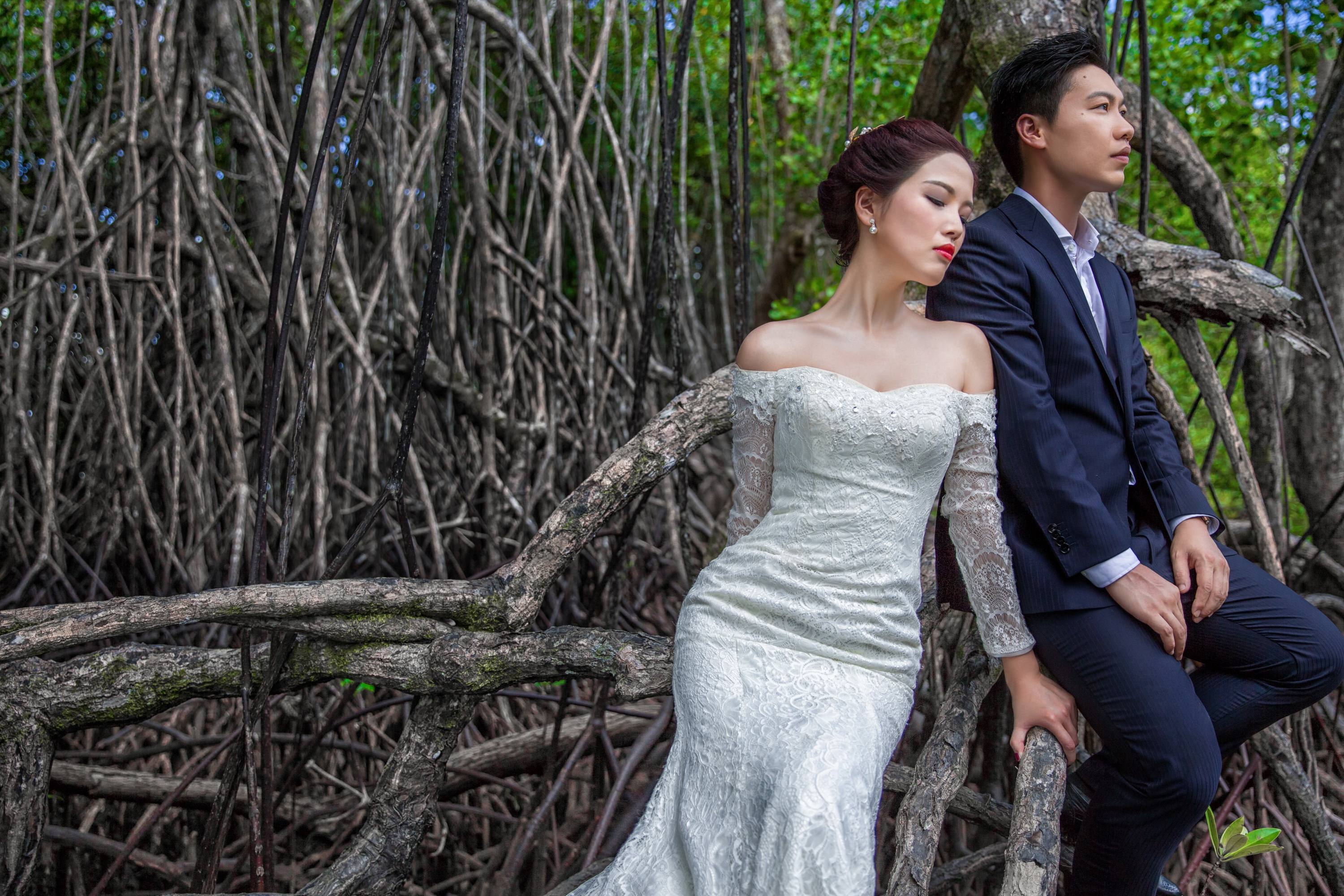 拍摄景点:红树林